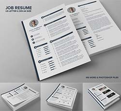 个人简历模板(INDD/DOCX/PSD)：Job Resume CV - Anderson